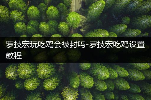 罗技宏玩吃鸡会被封吗-罗技宏吃鸡设置教程