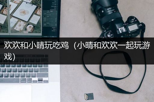欢欢和小睛玩吃鸡（小晴和欢欢一起玩游戏）