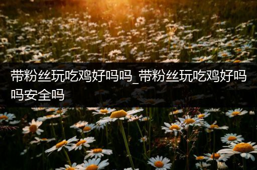 带粉丝玩吃鸡好吗吗_带粉丝玩吃鸡好吗吗安全吗