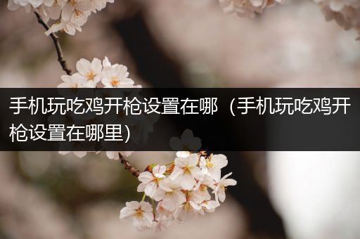 手机玩吃鸡开枪设置在哪（手机玩吃鸡开枪设置在哪里）