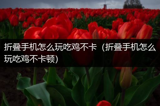 折叠手机怎么玩吃鸡不卡（折叠手机怎么玩吃鸡不卡顿）