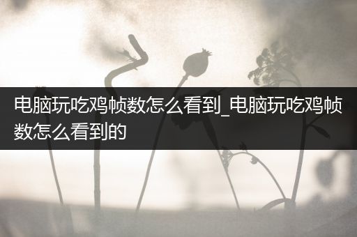 电脑玩吃鸡帧数怎么看到_电脑玩吃鸡帧数怎么看到的