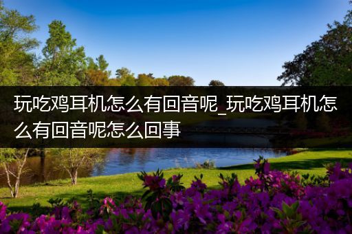 玩吃鸡耳机怎么有回音呢_玩吃鸡耳机怎么有回音呢怎么回事