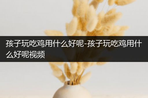 孩子玩吃鸡用什么好呢-孩子玩吃鸡用什么好呢视频