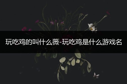 玩吃鸡的叫什么薇-玩吃鸡是什么游戏名