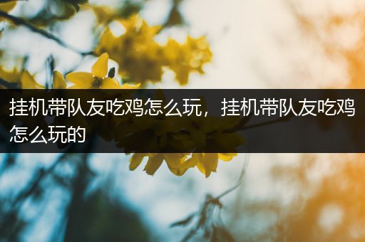 挂机带队友吃鸡怎么玩，挂机带队友吃鸡怎么玩的
