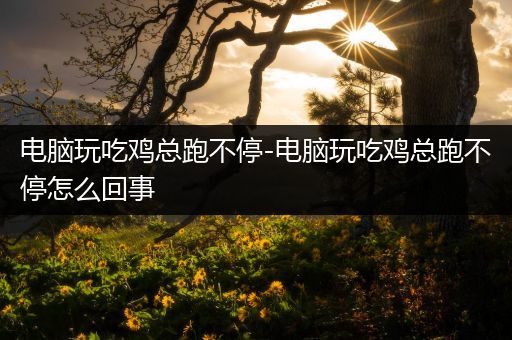 电脑玩吃鸡总跑不停-电脑玩吃鸡总跑不停怎么回事