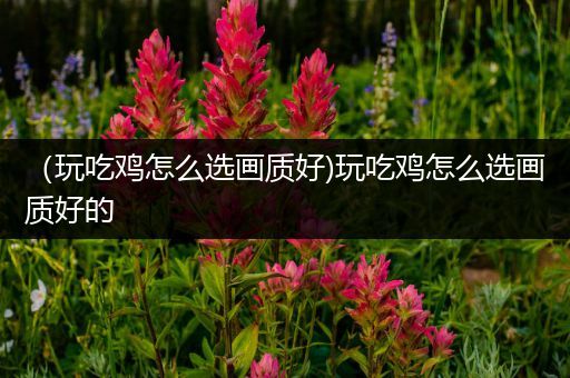（玩吃鸡怎么选画质好)玩吃鸡怎么选画质好的