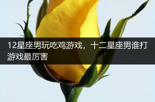 12星座男玩吃鸡游戏，十二星座男谁打游戏最厉害