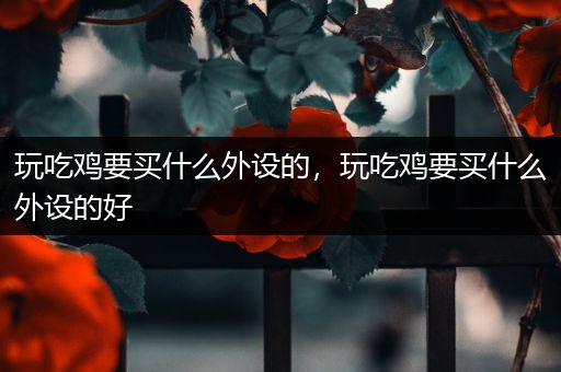玩吃鸡要买什么外设的，玩吃鸡要买什么外设的好