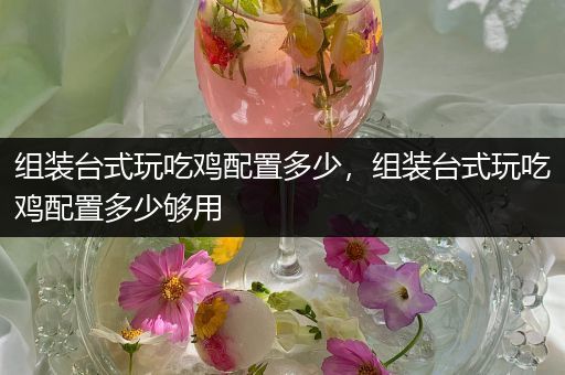 组装台式玩吃鸡配置多少，组装台式玩吃鸡配置多少够用