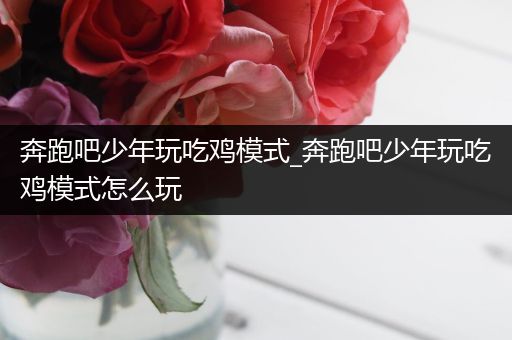 奔跑吧少年玩吃鸡模式_奔跑吧少年玩吃鸡模式怎么玩