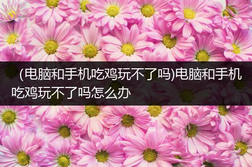 （电脑和手机吃鸡玩不了吗)电脑和手机吃鸡玩不了吗怎么办