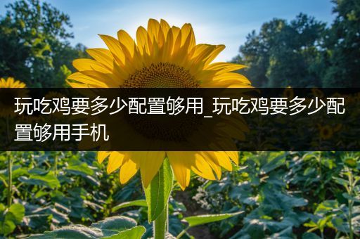 玩吃鸡要多少配置够用_玩吃鸡要多少配置够用手机