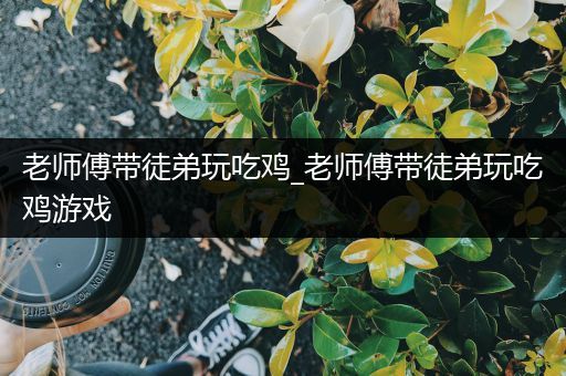 老师傅带徒弟玩吃鸡_老师傅带徒弟玩吃鸡游戏