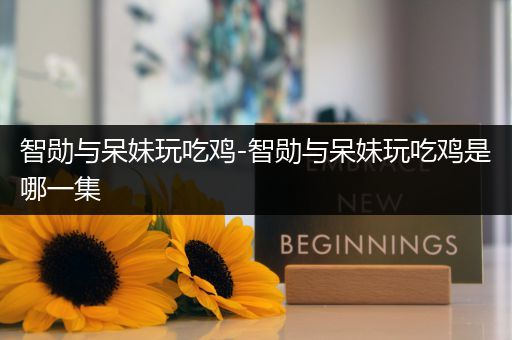 智勋与呆妹玩吃鸡-智勋与呆妹玩吃鸡是哪一集