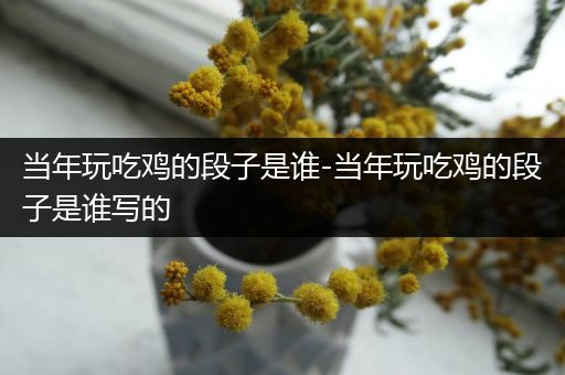当年玩吃鸡的段子是谁-当年玩吃鸡的段子是谁写的