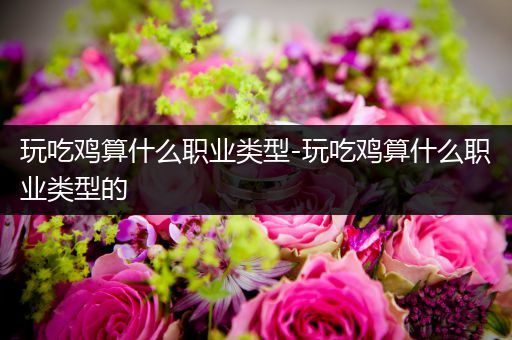 玩吃鸡算什么职业类型-玩吃鸡算什么职业类型的