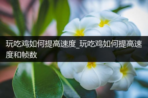 玩吃鸡如何提高速度_玩吃鸡如何提高速度和帧数
