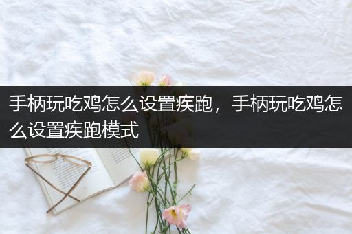 手柄玩吃鸡怎么设置疾跑，手柄玩吃鸡怎么设置疾跑模式