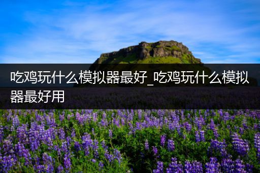吃鸡玩什么模拟器最好_吃鸡玩什么模拟器最好用