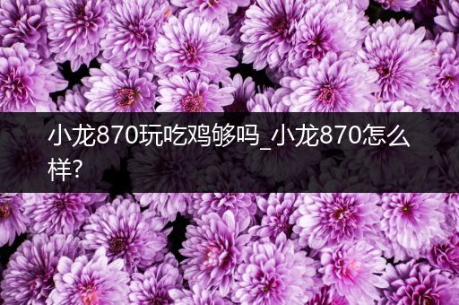 小龙870玩吃鸡够吗_小龙870怎么样?