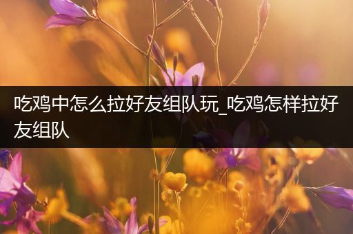 吃鸡中怎么拉好友组队玩_吃鸡怎样拉好友组队