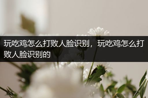 玩吃鸡怎么打败人脸识别，玩吃鸡怎么打败人脸识别的