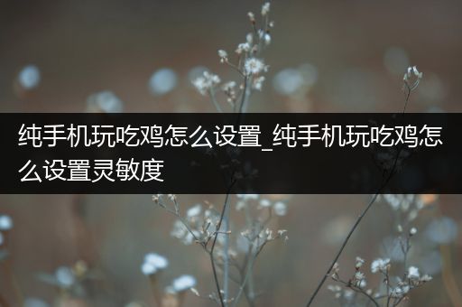 纯手机玩吃鸡怎么设置_纯手机玩吃鸡怎么设置灵敏度