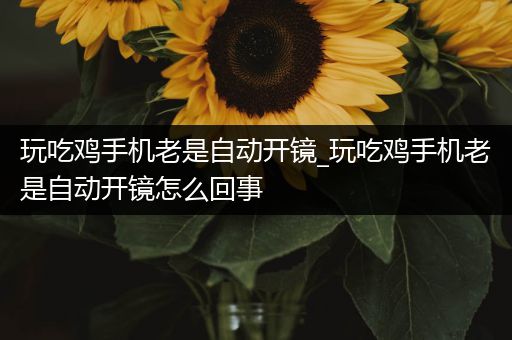 玩吃鸡手机老是自动开镜_玩吃鸡手机老是自动开镜怎么回事
