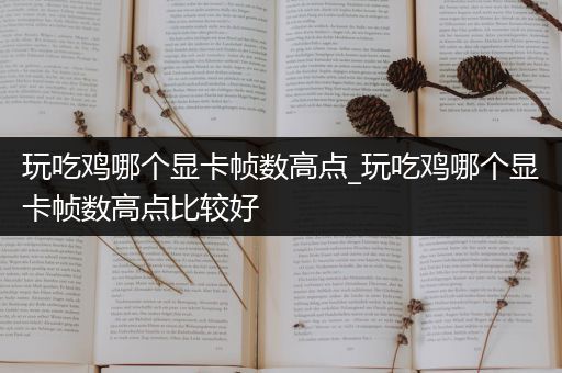 玩吃鸡哪个显卡帧数高点_玩吃鸡哪个显卡帧数高点比较好