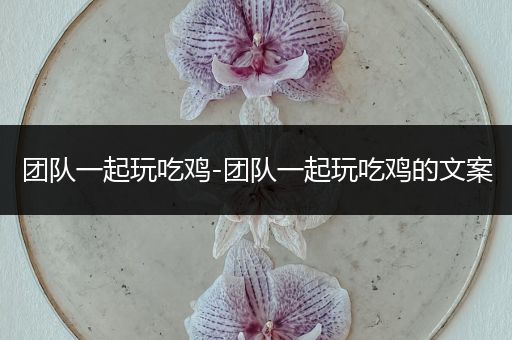 团队一起玩吃鸡-团队一起玩吃鸡的文案