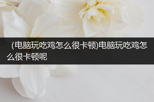 （电脑玩吃鸡怎么很卡顿)电脑玩吃鸡怎么很卡顿呢
