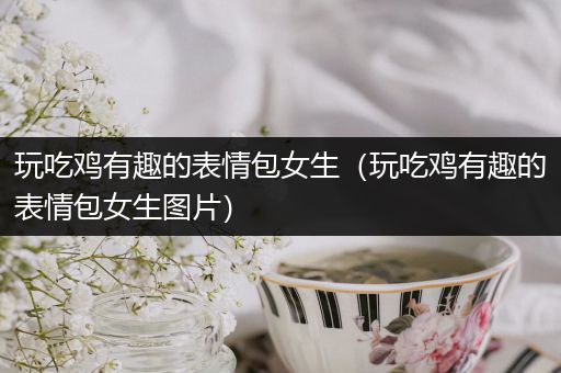 玩吃鸡有趣的表情包女生（玩吃鸡有趣的表情包女生图片）