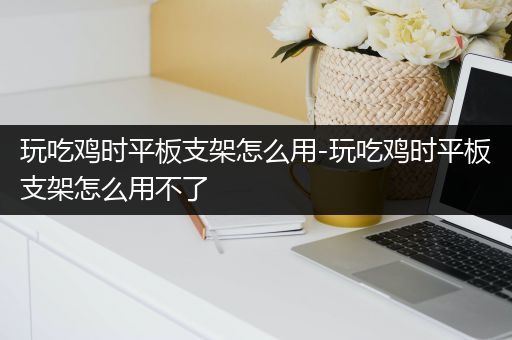 玩吃鸡时平板支架怎么用-玩吃鸡时平板支架怎么用不了