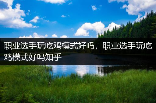 职业选手玩吃鸡模式好吗，职业选手玩吃鸡模式好吗知乎