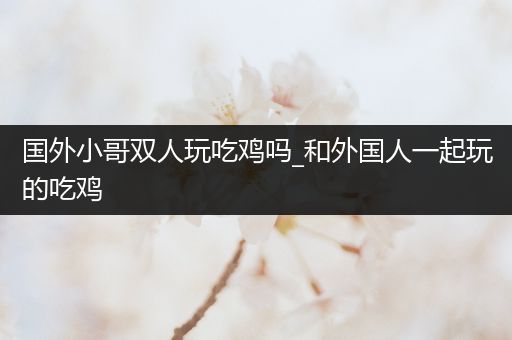 国外小哥双人玩吃鸡吗_和外国人一起玩的吃鸡