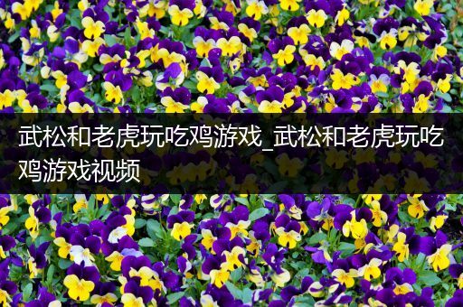 武松和老虎玩吃鸡游戏_武松和老虎玩吃鸡游戏视频
