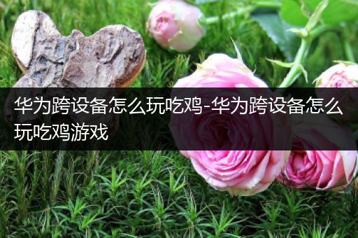 华为跨设备怎么玩吃鸡-华为跨设备怎么玩吃鸡游戏