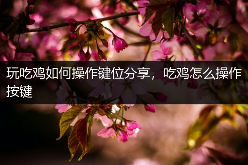 玩吃鸡如何操作键位分享，吃鸡怎么操作按键