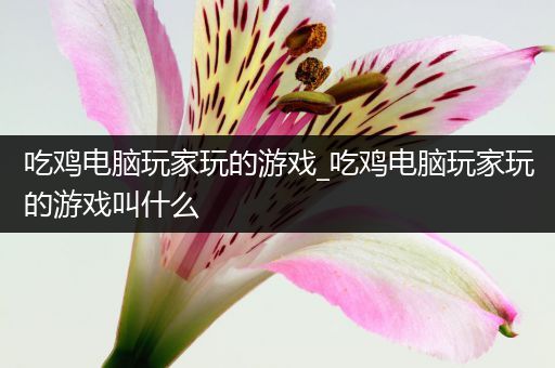 吃鸡电脑玩家玩的游戏_吃鸡电脑玩家玩的游戏叫什么