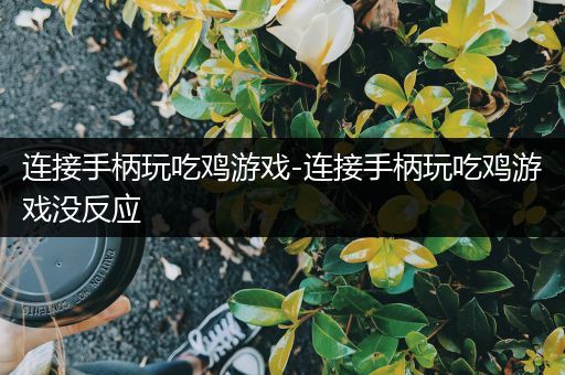 连接手柄玩吃鸡游戏-连接手柄玩吃鸡游戏没反应