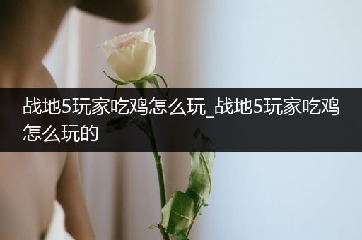 战地5玩家吃鸡怎么玩_战地5玩家吃鸡怎么玩的