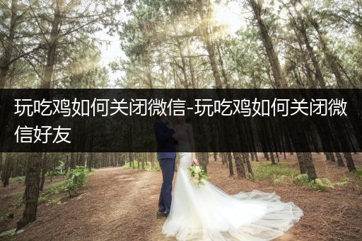 玩吃鸡如何关闭微信-玩吃鸡如何关闭微信好友