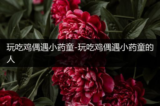 玩吃鸡偶遇小药童-玩吃鸡偶遇小药童的人