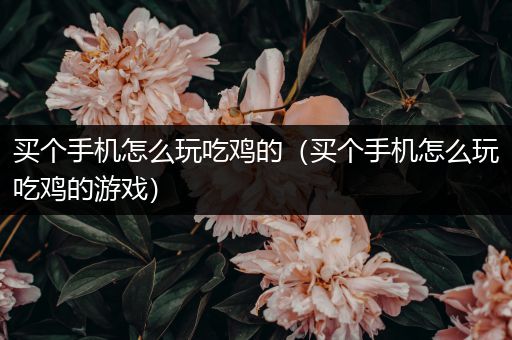 买个手机怎么玩吃鸡的（买个手机怎么玩吃鸡的游戏）