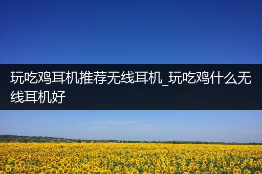 玩吃鸡耳机推荐无线耳机_玩吃鸡什么无线耳机好