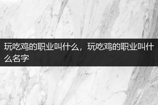 玩吃鸡的职业叫什么，玩吃鸡的职业叫什么名字