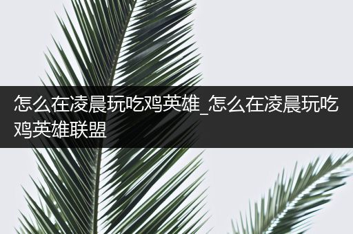 怎么在凌晨玩吃鸡英雄_怎么在凌晨玩吃鸡英雄联盟