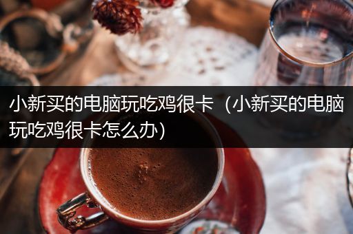 小新买的电脑玩吃鸡很卡（小新买的电脑玩吃鸡很卡怎么办）